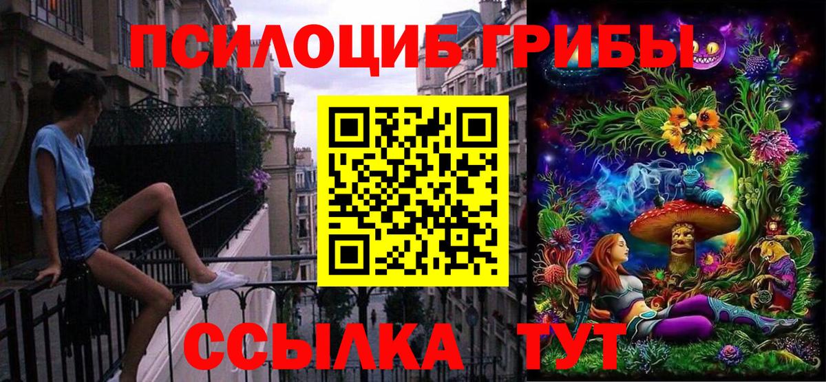 Псилоцибиновые грибы прущие грибы Кувандык