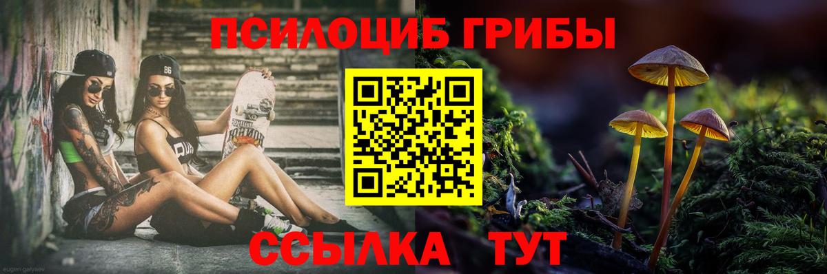 Кувандык  Псилоцибиновые грибы Psilocybe  Вход с VPN 