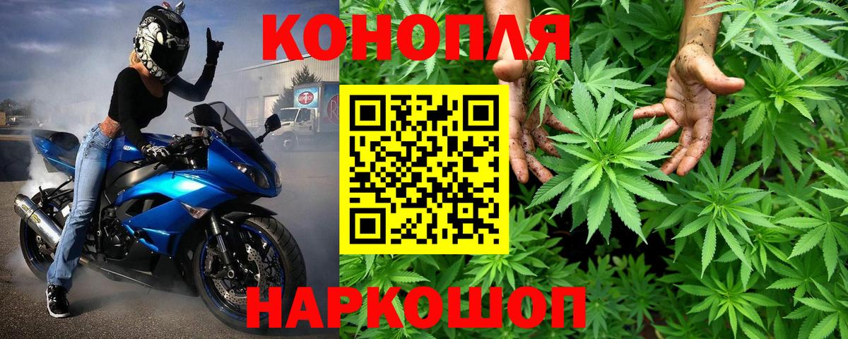 Конопля марихуана  Бошки Шишки семена  Шишки марихуана планчик  Кувандык  Вход с VPN 